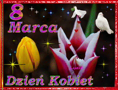 Białe gołębie na dzień kobiet